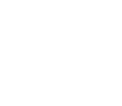 white Alpine Brokerage logo