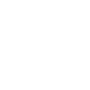Alpine Brokerage Services